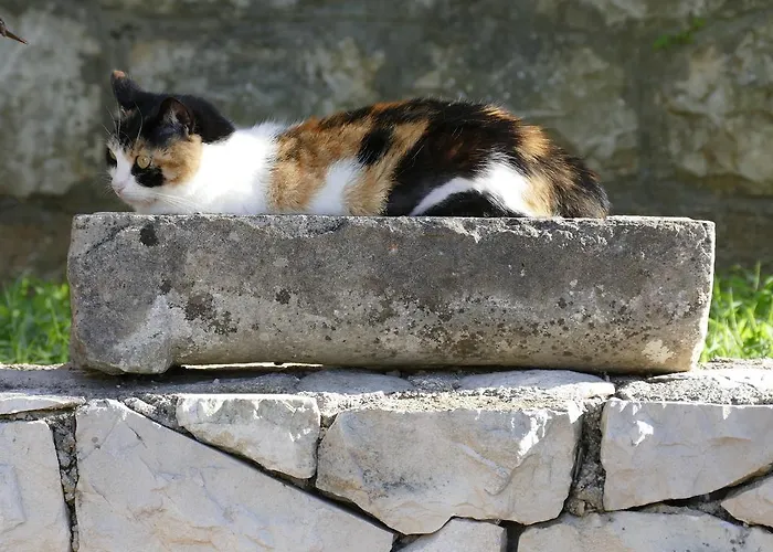 Laura Apartman Korčula